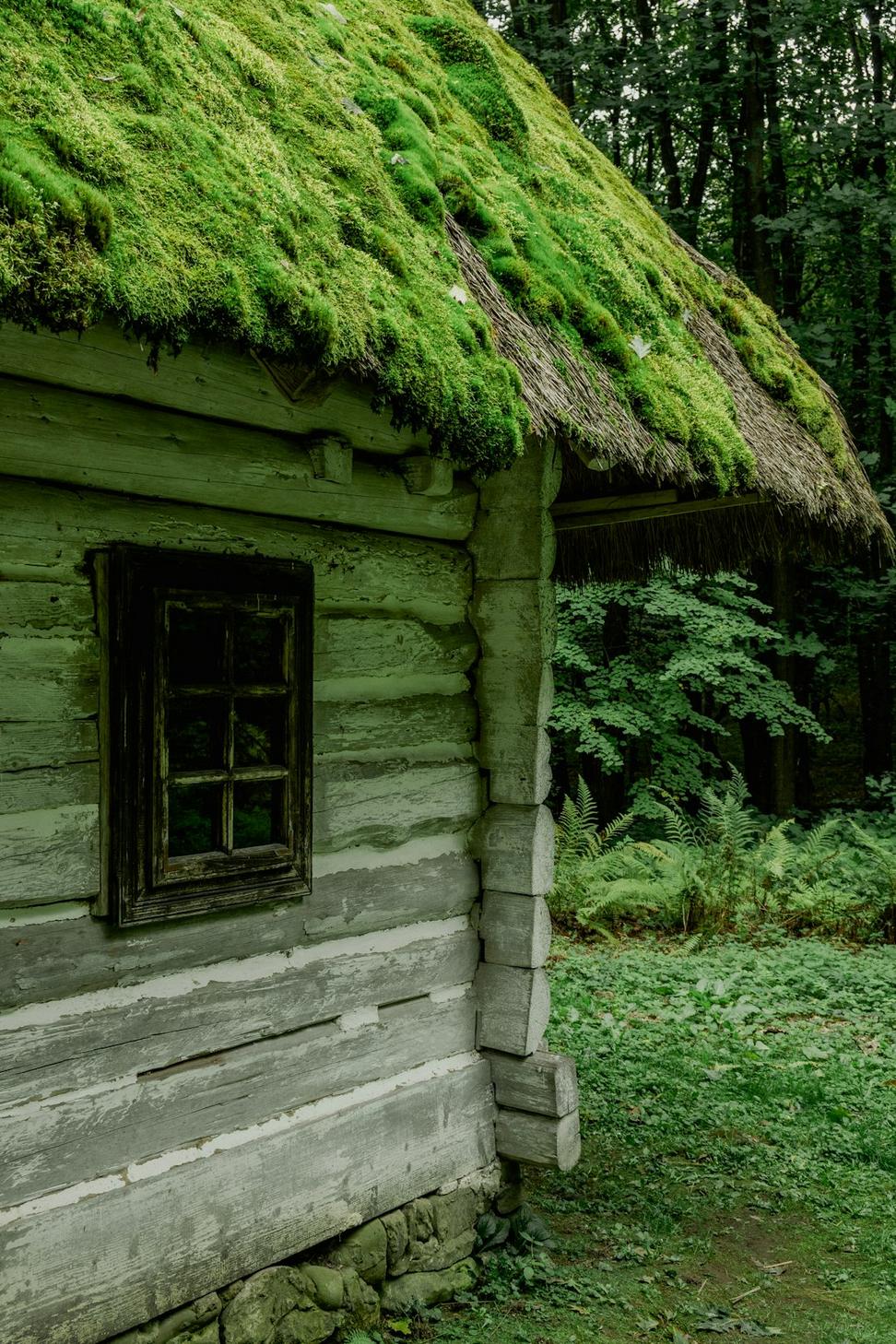 Eco home interior