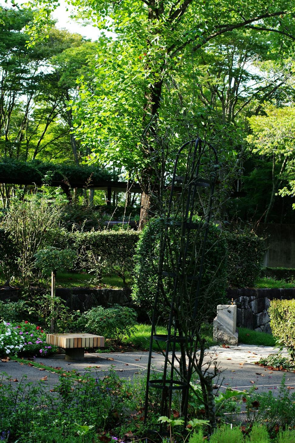 Forest Hill Family Home